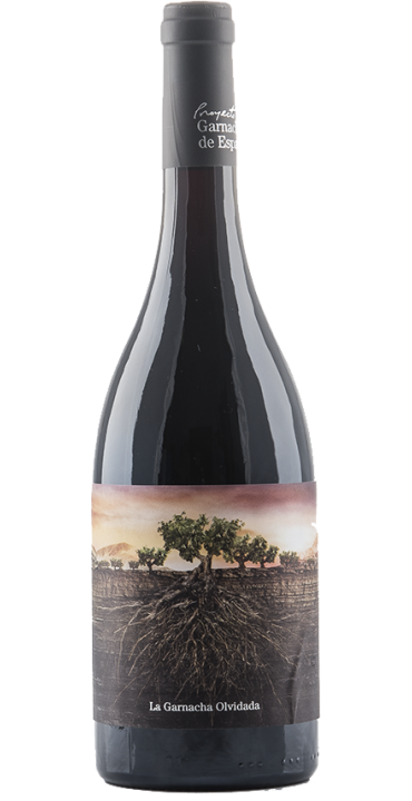 Garnacha Olvidada de Aragon | Bodegas el Pilar