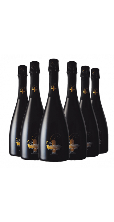 caja 6 botellas Cava Particular Blanc de Noirs | Bodegas el Pilar